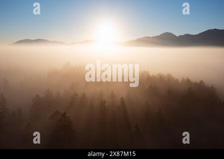 Allemagne, Bavière, Bad Bayersoien, vue aérienne du lever du soleil sur la forêt brumeuse Banque D'Images