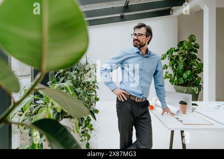 Homme d'affaires souriant debout près des plantes et bureau dans le bureau Banque D'Images