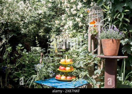 Pommes sur cakestand dans le jardin d'été rustique Banque D'Images