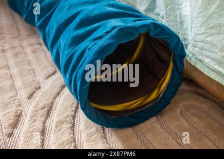 Tunnel de chat bleu sur tapis, gros plan Banque D'Images