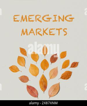 Une couverture de livre avec un motif feuillu Banque D'Images