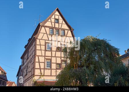 Maison à colombages à Colmar, Alsace, France. Belle façade de maison typique dans la ville française. Vue de face d'un petit immeuble résidentiel, tradi Banque D'Images