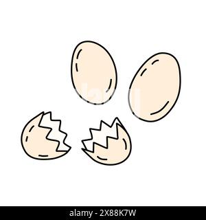 Œufs de ferme frais entiers et cassés, ingrédients de cuisson ou de cuisson, illustration vectorielle de style doodle Illustration de Vecteur