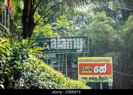 Kadugannawa Estate Rd, Pilimathalawa, Sri Lanka. 10.02.23 signe à l'entrée de l'usine de thé Kadugannawa Estate. Banque D'Images