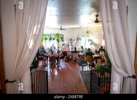 Les clients apprécient les cafés et bien plus encore dans l'enviement chic et aéré du café, 'Grounded' à Las Cruces, NM, États-Unis Banque D'Images