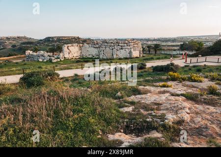 Ġgantija, temples mégalithiques sur l'île de Gozo, Malte. Datant de 3 600 av. J.-C., ce qui en fait l'une des plus anciennes structures artificielles connues dans le monde Banque D'Images