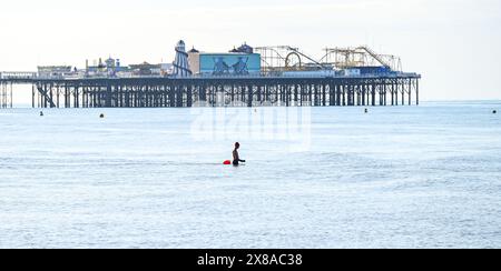 Brighton UK 24 mai 2024 - un nageur tôt le matin à Brighton se dirige dans la mer comme ils apprécient le temps chaud et ensoleillé le long de la côte sud avec plus de prévisions de soleil pour le week-end de vacances : crédit Simon Dack / Alamy Live News Banque D'Images