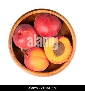 Abricots frais dans un bol en bois. Fruits à noyaux de Prunus armeniaca, semblables à une petite pêche. Fruits jaunes, teintés de rouge sur le côté le plus exposé au soleil. Banque D'Images