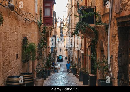 Une pittoresque rue carrelée étroite bordée de bâtiments colorés et de plantes à la Valette, Malte Banque D'Images