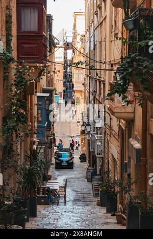 Une pittoresque rue carrelée étroite bordée de bâtiments colorés et de plantes à la Valette, Malte Banque D'Images