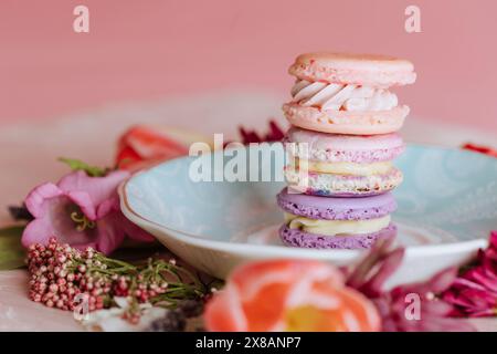 Macarons pastel empilés sur une assiette à motifs floraux Banque D'Images