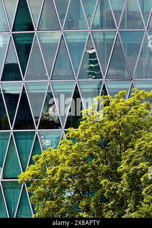 Arbre vert en face de la tour Westhafen avec une structure de façade en forme de losange, couleur pétrole, rappelant un verre de vin de pomme, Frankfurt am ma Banque D'Images