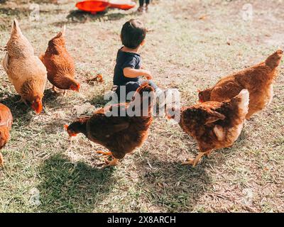 Enfant en bas âge assis sur l'herbe entouré de poulets picotant au g Banque D'Images