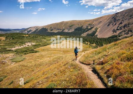 Randonnée Backpacker jusqu'au col Rogers dans la James Peak Wilderness Banque D'Images