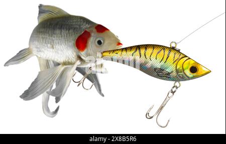 Le leurre de phishing artificiel doré et jaune au premier plan avec un poisson blanc et orange prêt à être accroché par l'arnaque. Banque D'Images