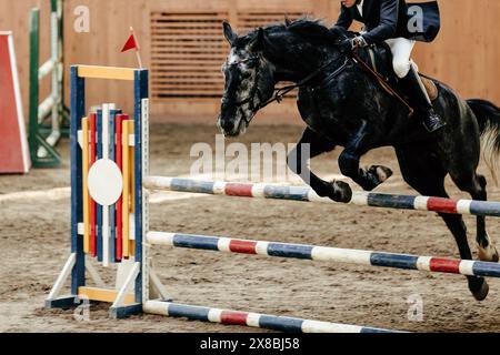 montrer la course de saut cheval de baie sombre sautant par-dessus les obstacles Banque D'Images