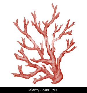 Algues rouges, peinture de varech dans l'océan, élément peint à la main aquarelle isolé sur fond blanc. Conception d'illustration d'algues rouges aquarelle. Avec masque. Banque D'Images