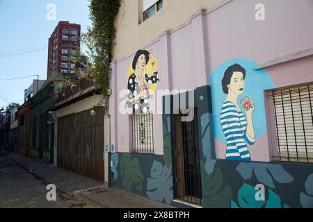 Street art à Palermo Soho, Buenos Aires, Argentine. Banque D'Images