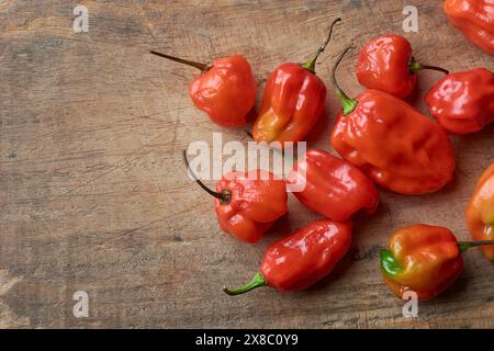 piments rouges habanero sur surface en bois ou planche à découper, épices les plus chaudes avec peau ridée ou fossée saveur épicée intense ingrédient culinaire Banque D'Images