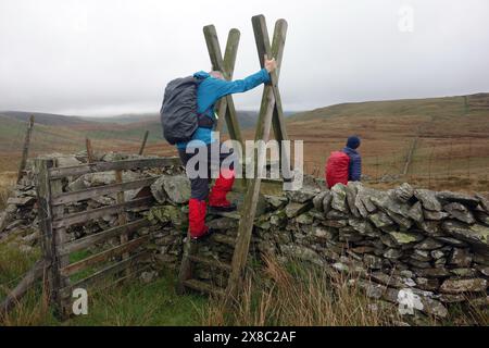 Homme (randonneur) escaladant une échelle en bois sur un mur de pierres sèches sur le fer à cheval Banniisdale dans le parc national du Lake District, Cumbria, Angleterre, Royaume-Uni. Banque D'Images