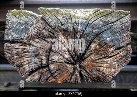 texture du bois avec des fissures et pourri par la météo et le temps, a été utilisé pour construire des voies ferrées Banque D'Images