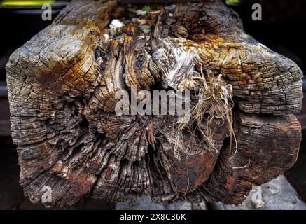 texture du bois avec des fissures et pourri par la météo et le temps, a été utilisé pour construire des voies ferrées Banque D'Images