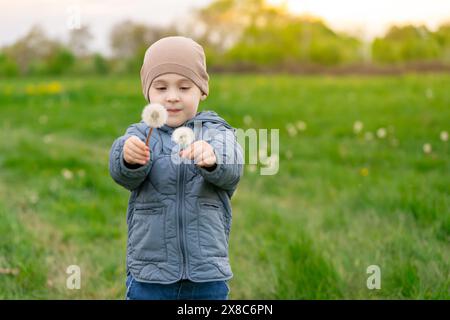 Un jeune garçon caucasien de trois ans tenant un bouquet de pissenlits blancs dans un champ un jour de printemps. Nature et concept d'enfance Banque D'Images