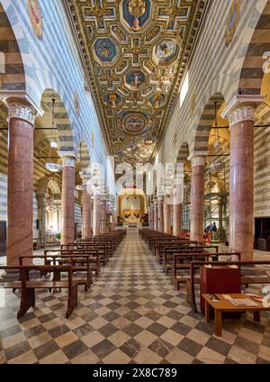 Plan intérieur avec plafond de la cathédrale de Volterra, dédiée à l'Assomption de la Vierge, Cattedrale di Santa Maria Assunta, Volterra, Toscane Banque D'Images