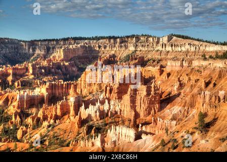 Les cheminées de repris de la Rim Trail près de Sunset Point, Bryce Canyon National Park, Utah, USA Banque D'Images