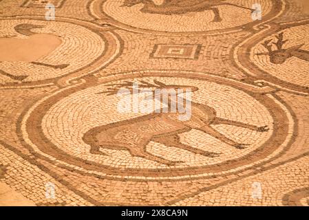 Sols en mosaïques, Petra Church (également connu sous le nom de l'Église Byzantine), construit entre le 5e et 7e siècle, Petra, Jordanie Banque D'Images