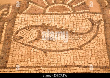 Sols en mosaïques, Petra Church (également connu sous le nom de l'Église Byzantine), construit entre le 5e et 7e siècle, Petra, Jordanie Banque D'Images