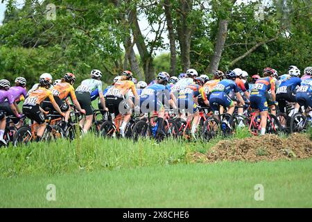 24 mai 2024. Étape 1 de l'UCI Women's WorldTour Ford RideLondon classique à Colchester. Étape de 159 km, qui a commencé à Saffron Walden. Crédit : Peter Goding/Alamy Live News Banque D'Images