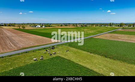 Une photographie aérienne éclatante capturant une vue panoramique de terres agricoles à usage mixte, avec un troupeau de bétail en pâturage, de riches champs verts et bruns, sous un ciel parsemé de nuages. Banque D'Images