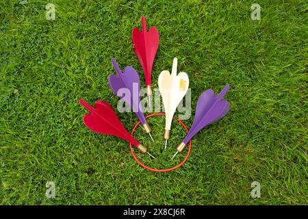 Crown Darts - un jeu de fléchettes de pelouse interdit avec des pointes métalliques Banque D'Images