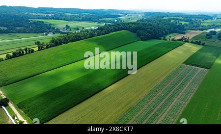 Vue aérienne des terres agricoles luxuriantes et de la campagne vallonnée Banque D'Images