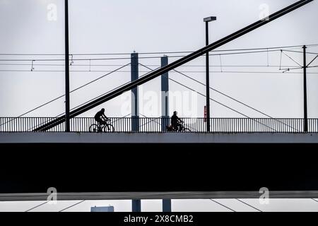 Pont Oberkassler sur le Rhin près de Düsseldorf, devant, derrière le pont Rheinknie, cycliste, NRW, Allemagne, Banque D'Images