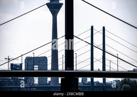 Pont Oberkassler sur le Rhin près de Düsseldorf, devant, derrière le pont Rheinknie, tour du Rhin, cycliste, NRW, Allemagne, Banque D'Images