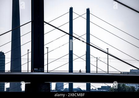 Pont Oberkassler sur le Rhin près de Düsseldorf, devant, derrière le pont Rheinknie, cycliste, NRW, Allemagne, Banque D'Images