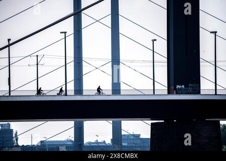 Pont Oberkassler sur le Rhin près de Düsseldorf, devant, derrière le pont Rheinknie, cycliste, NRW, Allemagne, Banque D'Images