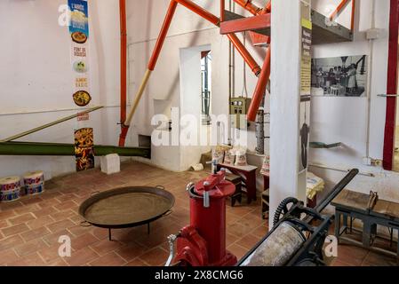 Intérieur du musée du Centre d'interprétation du riz, à Camarles (Tarragone, Catalogne, Espagne) ESP : Interior del museo Centro de Interpretación del Banque D'Images