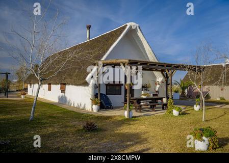 Extérieur de la Barraca de Salvador, un hébergement touristique rural dans des cabanes traditionnelles du delta de l'Èbre (Tarragone, Catalogne, Espagne) Banque D'Images