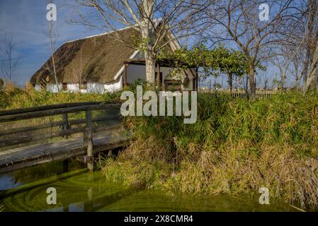 Extérieur de la Barraca de Salvador, un hébergement touristique rural dans des cabanes traditionnelles du delta de l'Èbre (Tarragone, Catalogne, Espagne) Banque D'Images