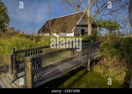 Extérieur de la Barraca de Salvador, un hébergement touristique rural dans des cabanes traditionnelles du delta de l'Èbre (Tarragone, Catalogne, Espagne) Banque D'Images