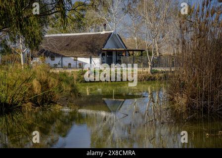 Extérieur de la Barraca de Salvador, un hébergement touristique rural dans des cabanes traditionnelles du delta de l'Èbre (Tarragone, Catalogne, Espagne) Banque D'Images