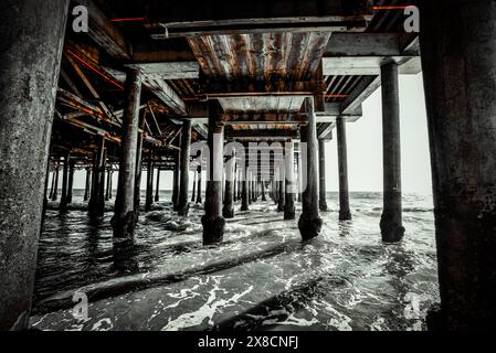 Pieux de bois debout dans les eaux peu profondes sous Santa Monica Pier, Californie Banque D'Images