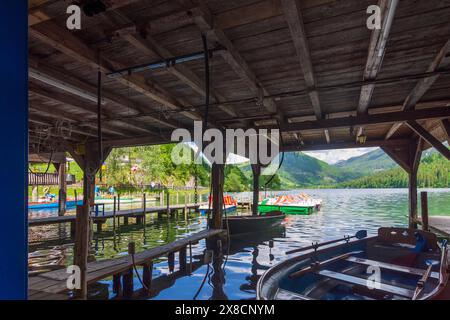 Lunz am See : lac Lunzer See, hangar à bateaux, location de bateaux à Mostviertel, Niederösterreich, basse-Autriche, Autriche Banque D'Images