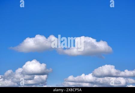 petits cumulus doux nuages de beau temps dans un ciel bleu Banque D'Images