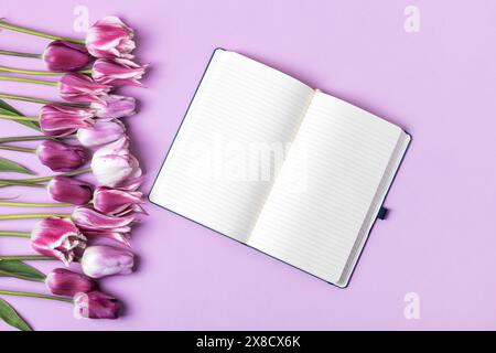 Cahier en papier ouvert avec page vide avec tulipes violettes et blanches sur fond violet. Vue de dessus, pose plate, espace de travail sur fond violet. Banque D'Images