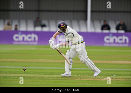 NORTHAMPTON, ROYAUME-UNI. 24 mai 2024. ADAM LYTH des chauves-souris du Yorkshire lors du match de la division deux du Championnat Vitality County entre le Northamptonshire et le Yorkshire le 24 mai au County Ground de Northampton, Angleterre crédit : PATRICK ANTHONISZ/Alamy Live News Banque D'Images