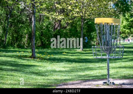 Objectif de golf de disque avec des arbres et de l'herbe ouverte en arrière-plan. Banque D'Images